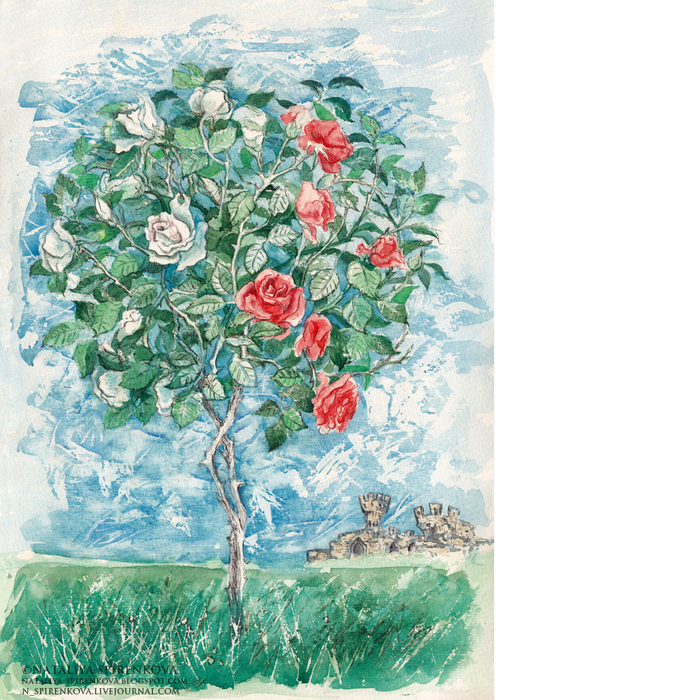 Розовый куст.