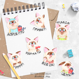 Стикерпак "Барсик"