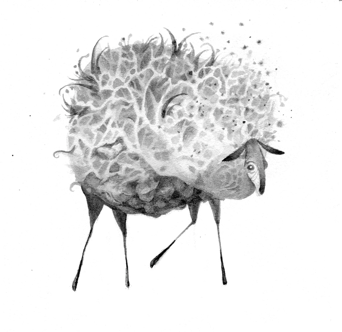 Овца. Без интриги