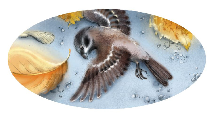 Спусковая печальная