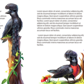 Умджи и необычные яйца