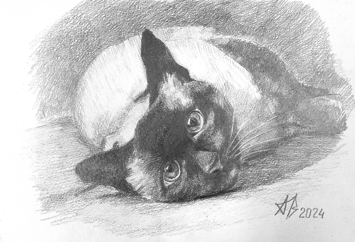 Эти глаза на против 