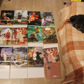 Календарь "Русь изначальная в иллюстрациях В.Люлько. 2012 год"