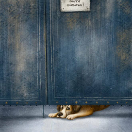 РЕАЛЬНОСТЬ НЕ ВСЕГДА ТАКАЯ, КАКОЙ КАЖЕТСЯ