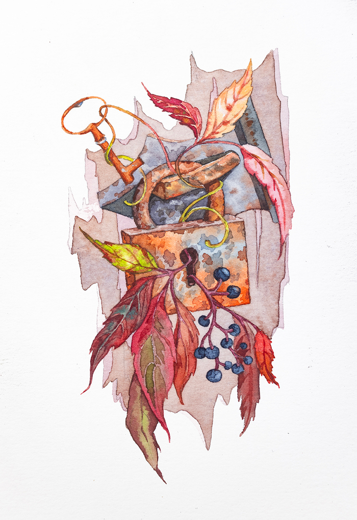 «Девичий виноград»