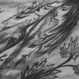 Без названия