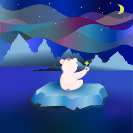 Мишка на Севере ночь