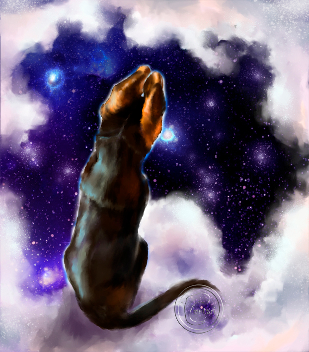 Эти ушки слушают вселенную