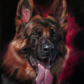 Groovy di Casa Massarelli