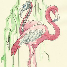 Фламинго