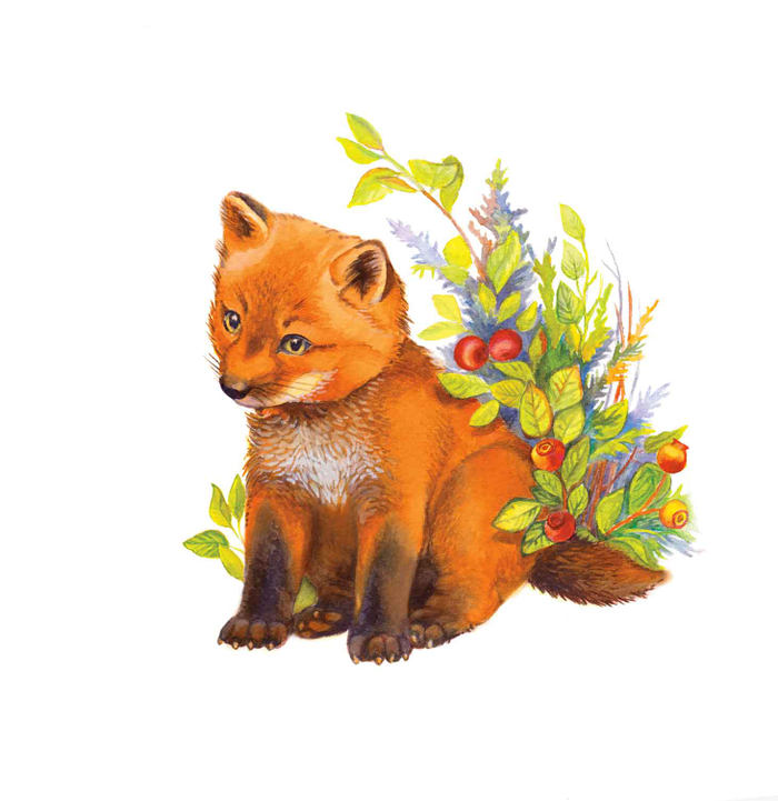 лето в лесу