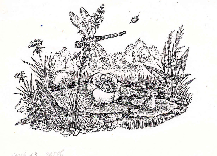 хрестоматия по литературе.