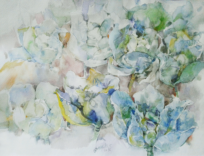 Грядка витаминов