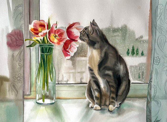котик и тюльпаны