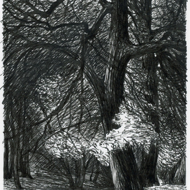 Иван Бунин. Тёмные аллеи