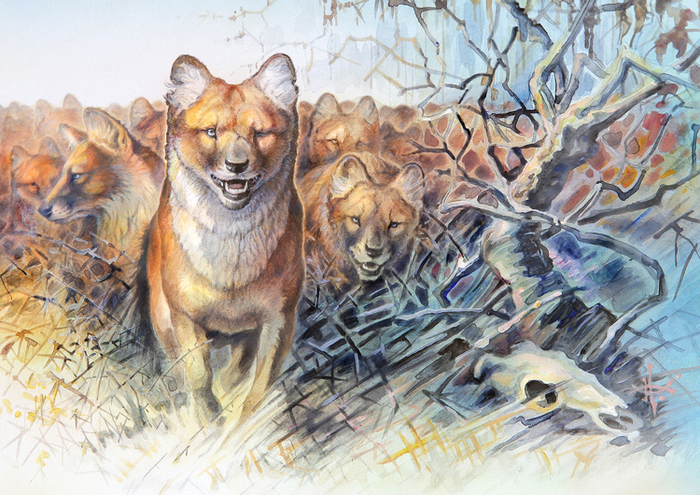 Ничего личного...