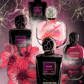 Keiko Mecheri (иллюстрация для обложки журнала и баннера)