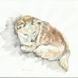 Песик Бусик