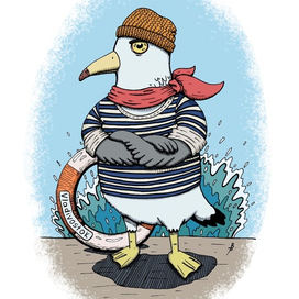 Морская чайка