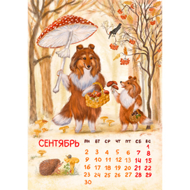 Сентябрь,. Иллюстрация для Шелти-календаря . Лесные прогулки 