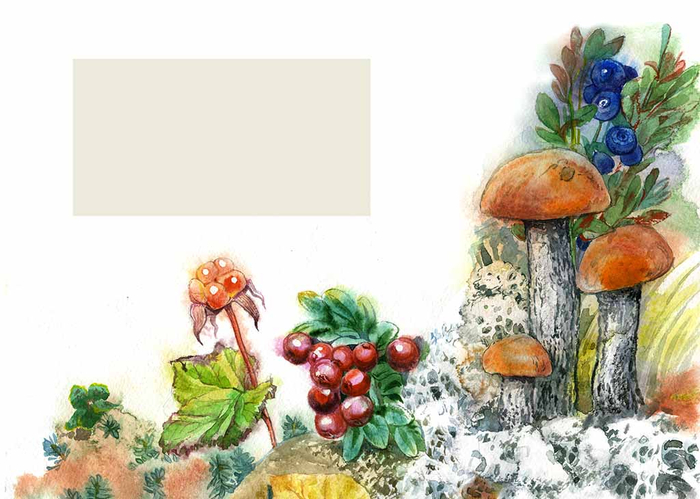 Ягодки Грибочки 