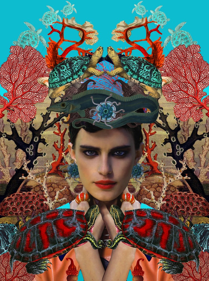 "Морские черепахи"