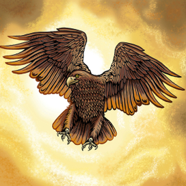 Орёл на закате