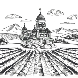 Виноградники