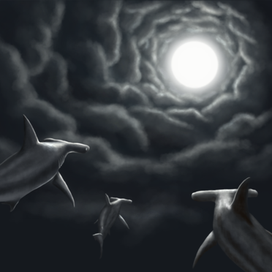 Акулы-Молоты летят навстречу луне