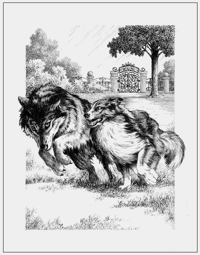 Голос крови. Белый Клык и Колли