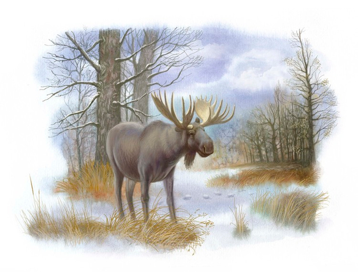 Полуполосная к книге Соколова-Микитова