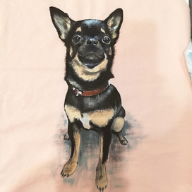 Принт на одежда