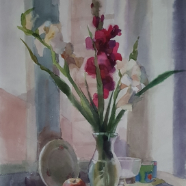 Гладиолусы