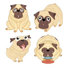 Безумный мопс маскот магазина "Балу"