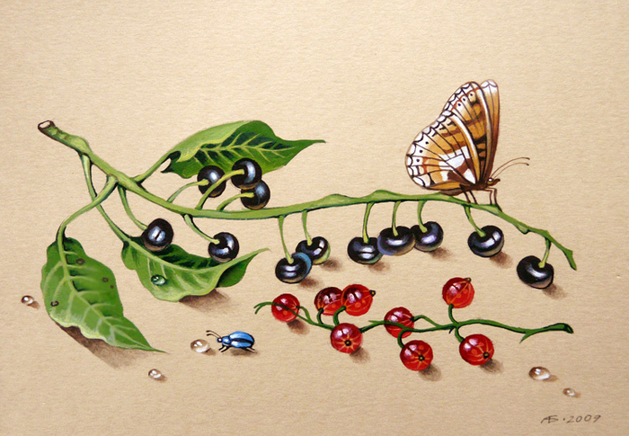 Бабочка, черёмуха и смородина