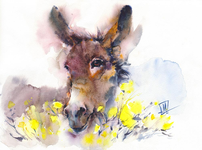 Ослик в цветах