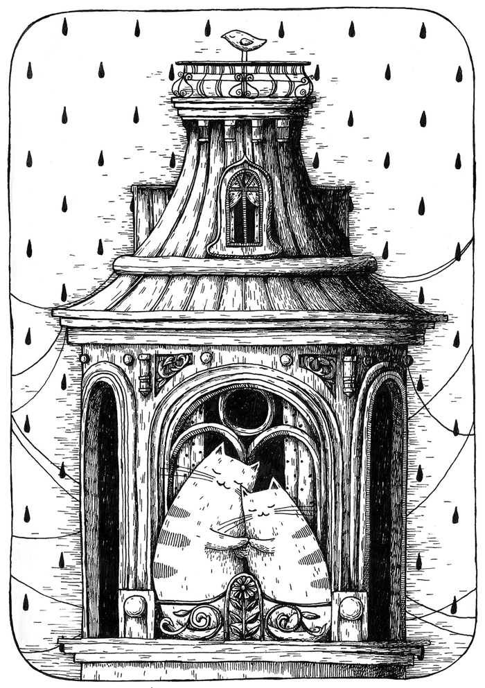 Котеньки в Питере