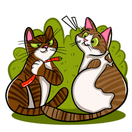 Коты которые не любят ошейники.