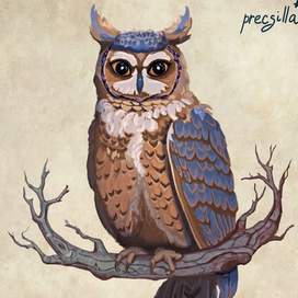 Магическая сова