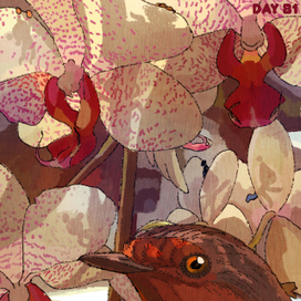 Прячься!Птица!