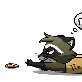 Енот и печенье