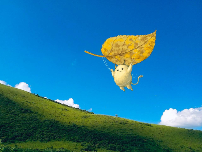 Полёт барабашки