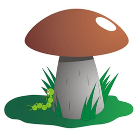Гриб и гусеница