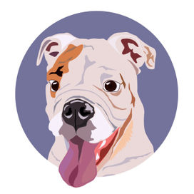 Векторный портрет питомца