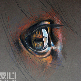 Кони календарь 2014