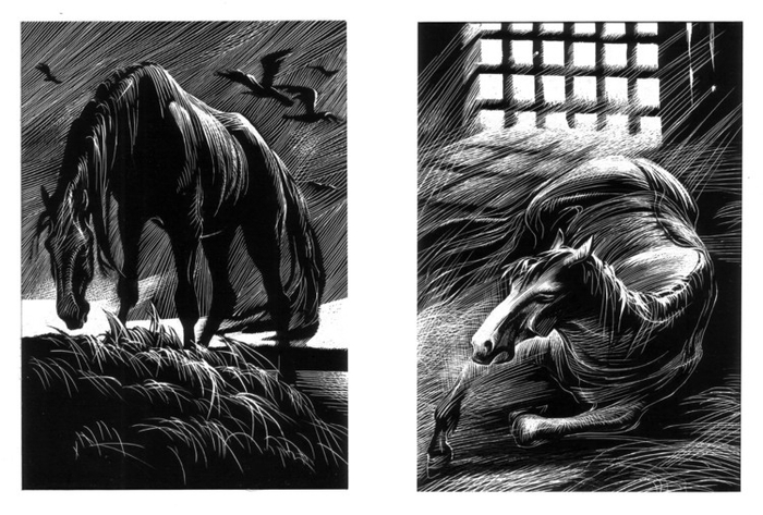 Илл. к повести Л.Н.Толстого "Холстомер"