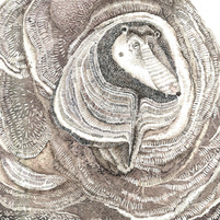 Иллюстрация к белорусской народной сказке «Баран бок абадран»