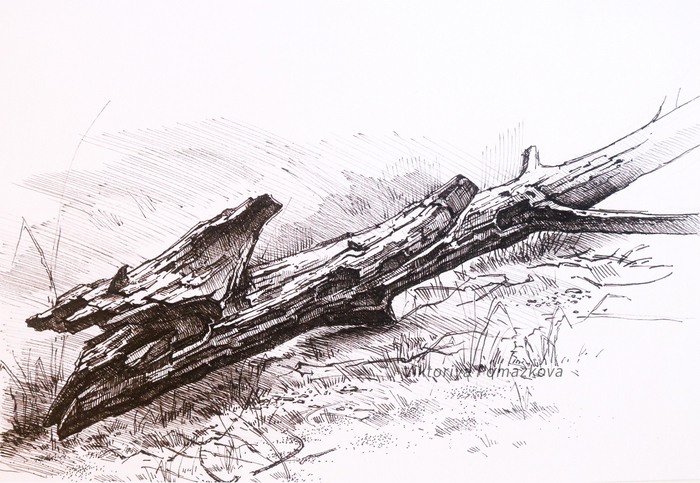 Одиночество