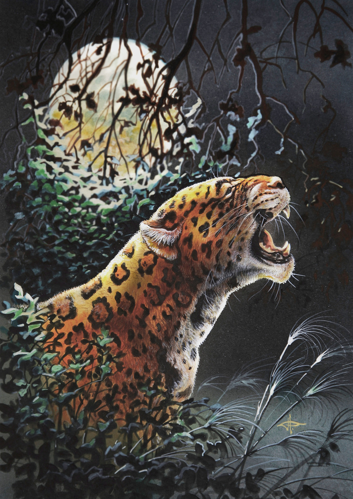 Голоса сельвы .