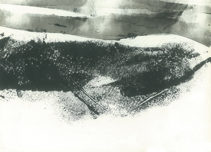 заброшенный огород